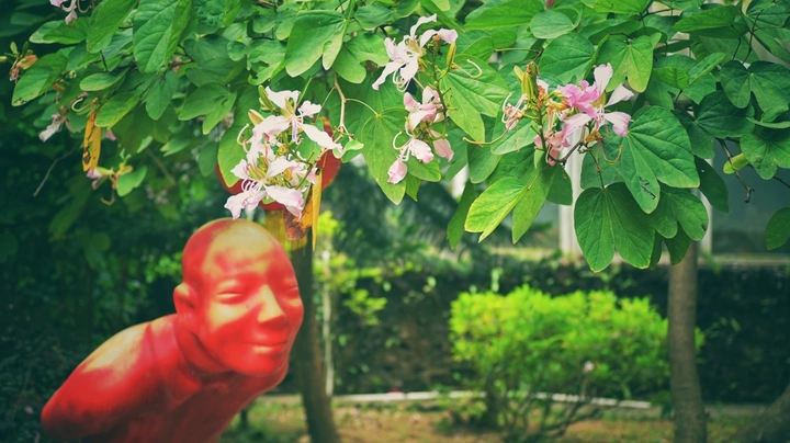 虫子太懒