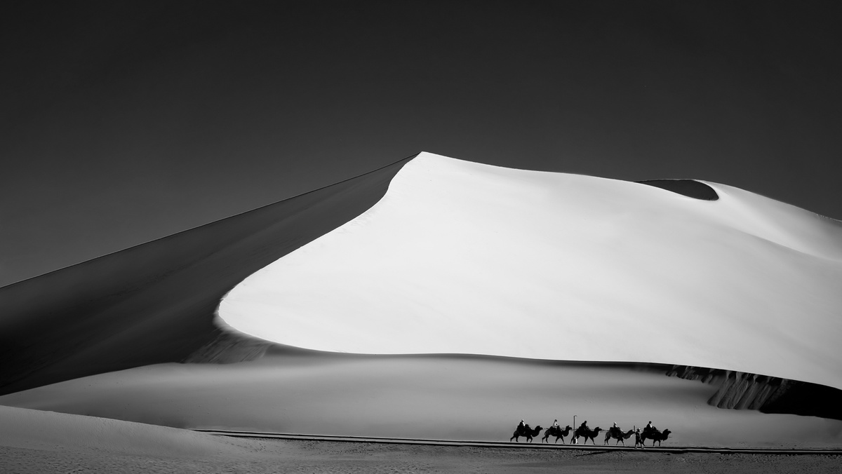 沙漠中骑骆驼的黑白色人