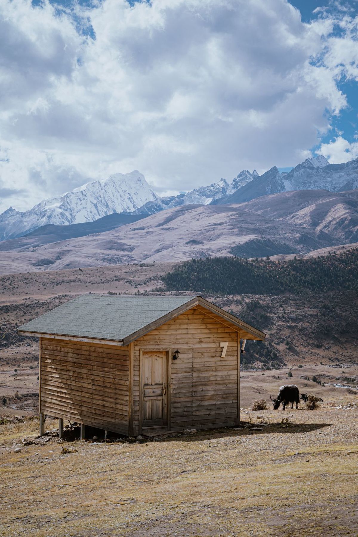 一个小木屋坐落在一片田野中间 一头牛站在山脉前面。