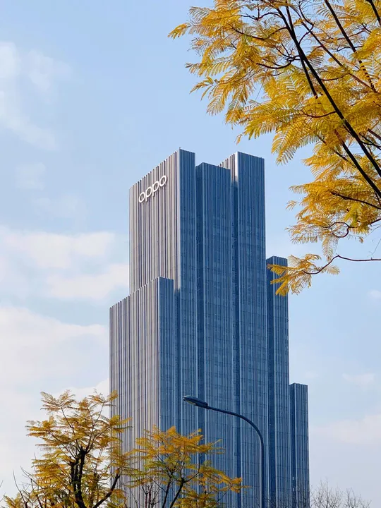 城市中一栋高楼大厦前有一棵大树