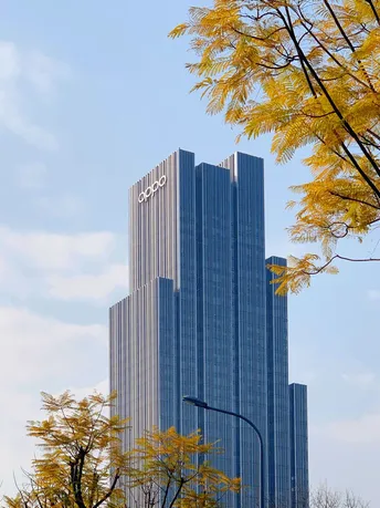 城市中一栋高楼大厦前有一棵大树