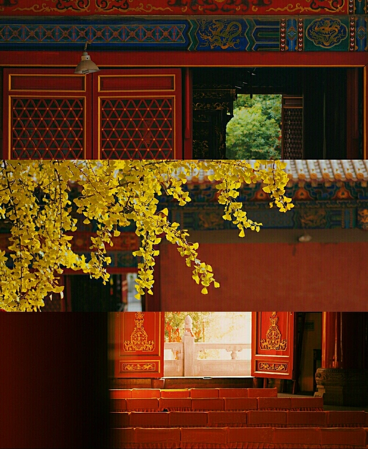 宝通寺的秋