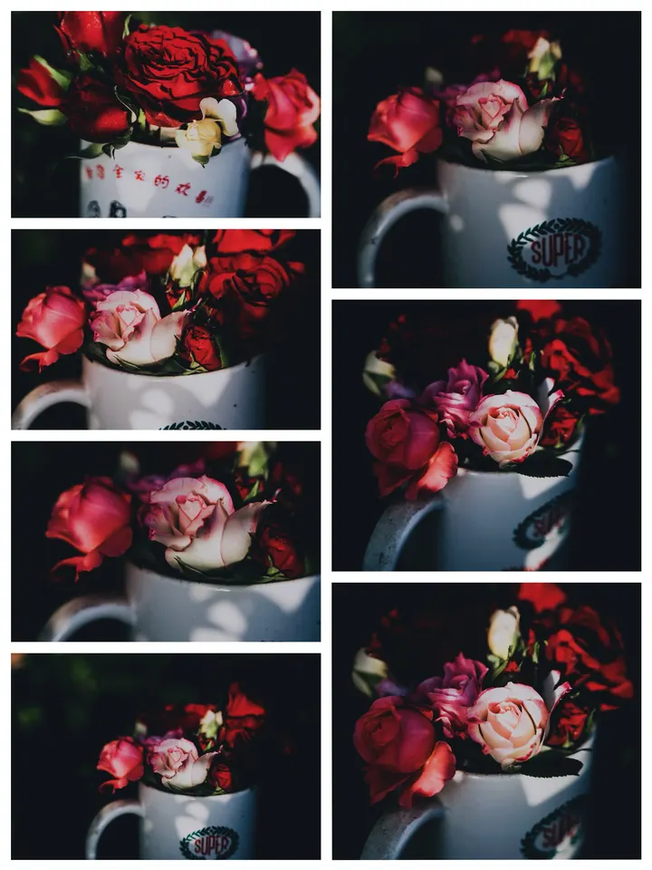 玫瑰花