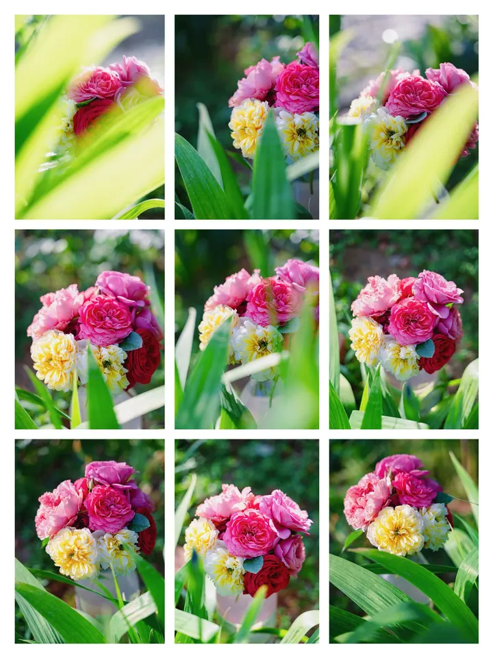 玫瑰花