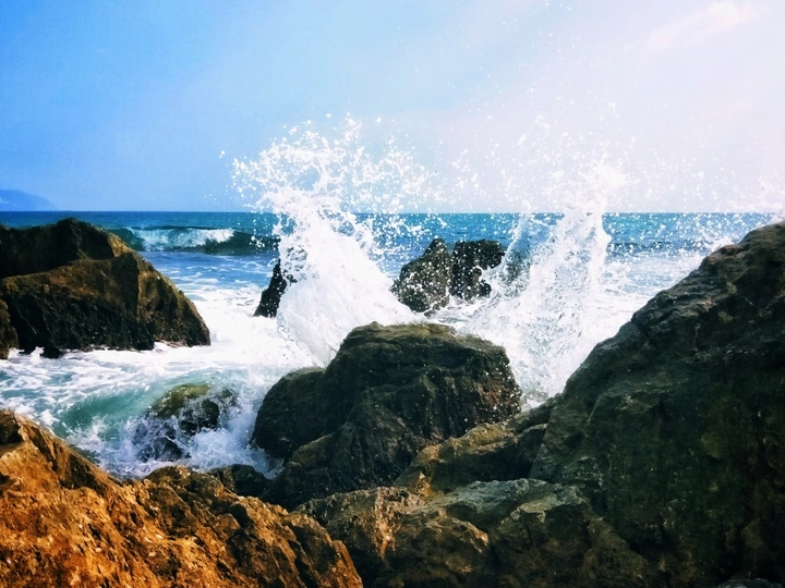 东海