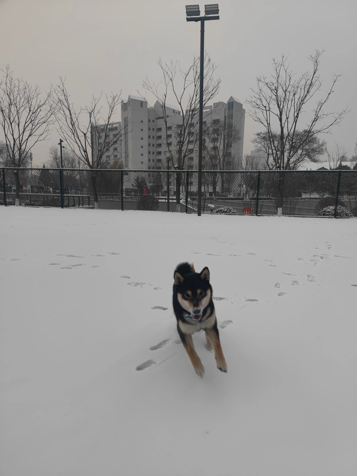 下雪了