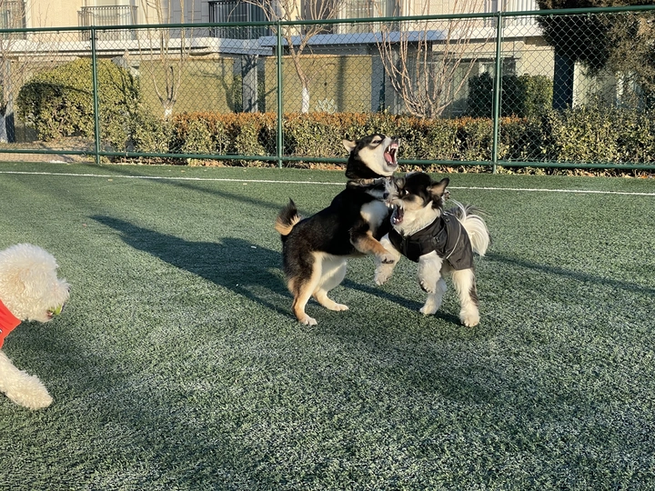 玩儿到变形