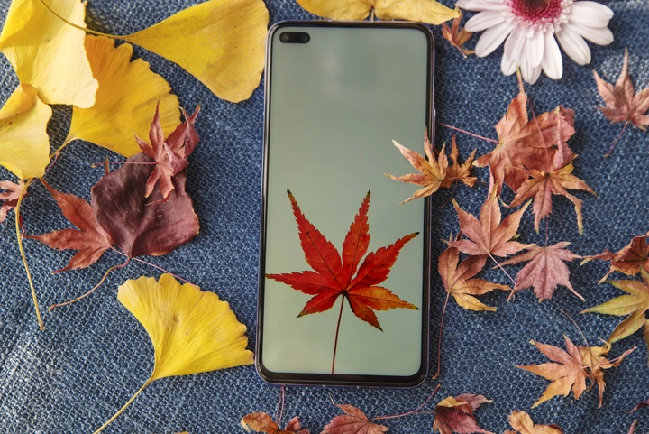 华为nova6图赏