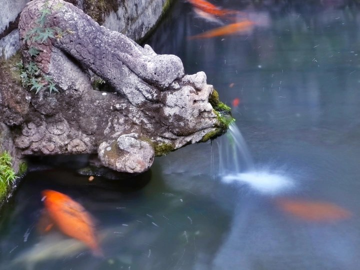 锡惠浅秋