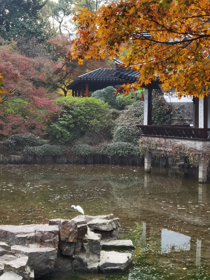 遗世而独立