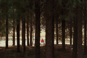 一个人穿过黑暗的森林