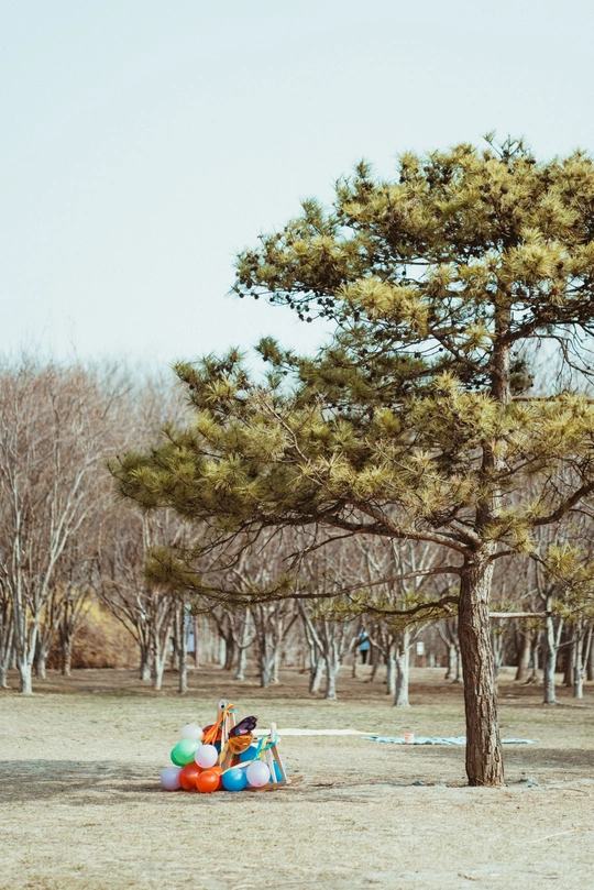 树下乘凉的人 背景中有五颜六色的小球和人们。