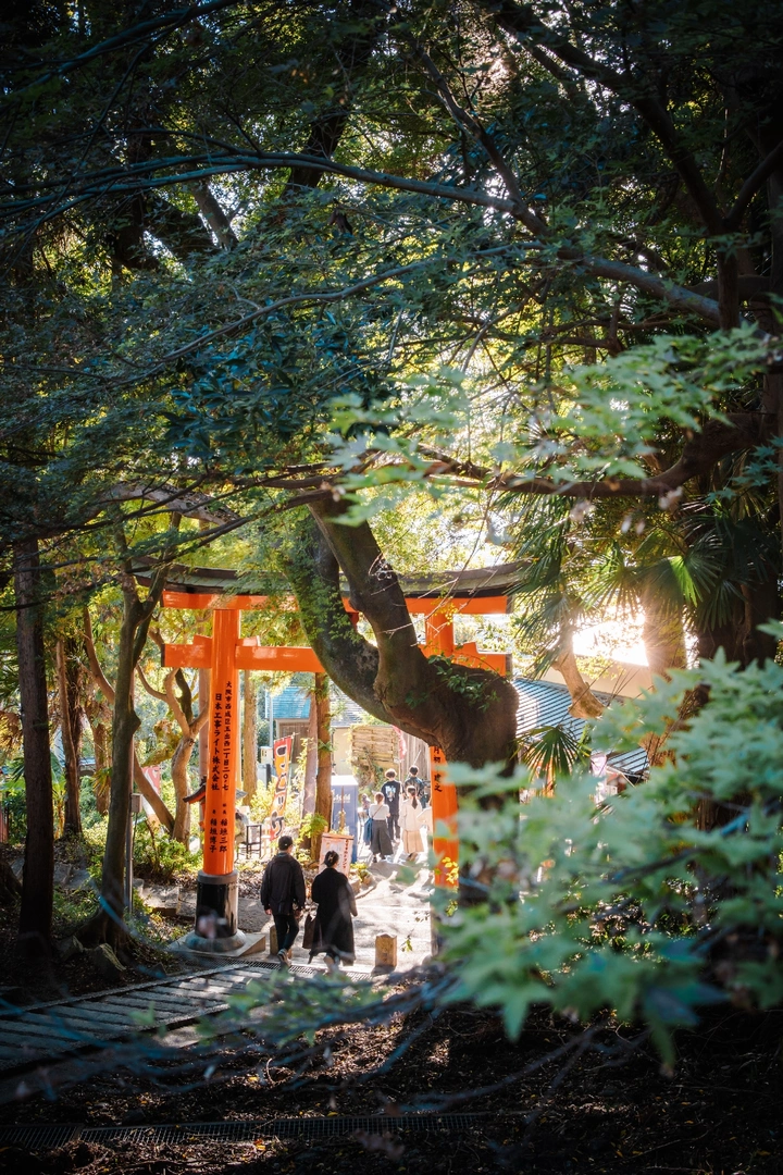 光之鸟居