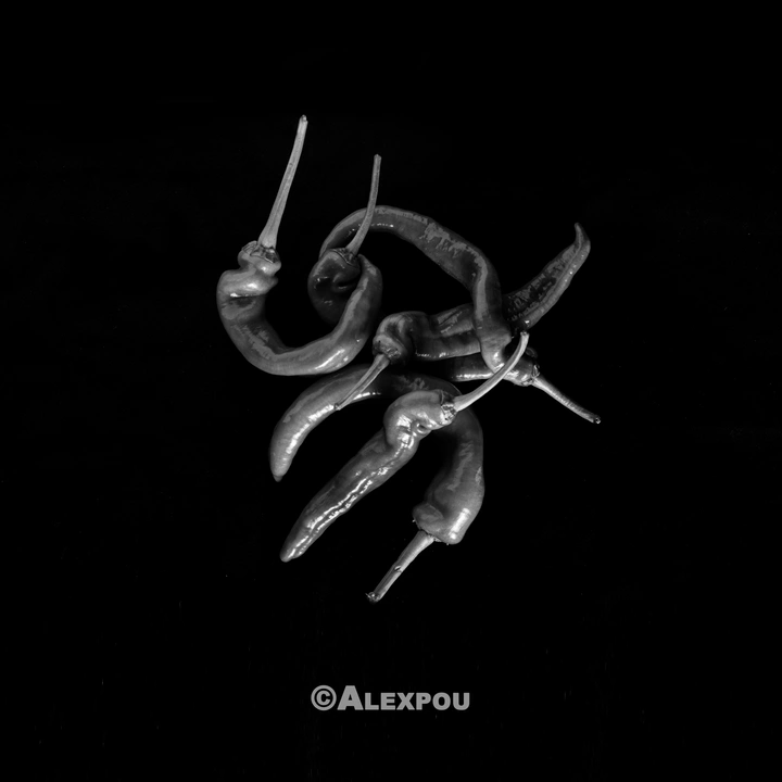 青椒的全家福