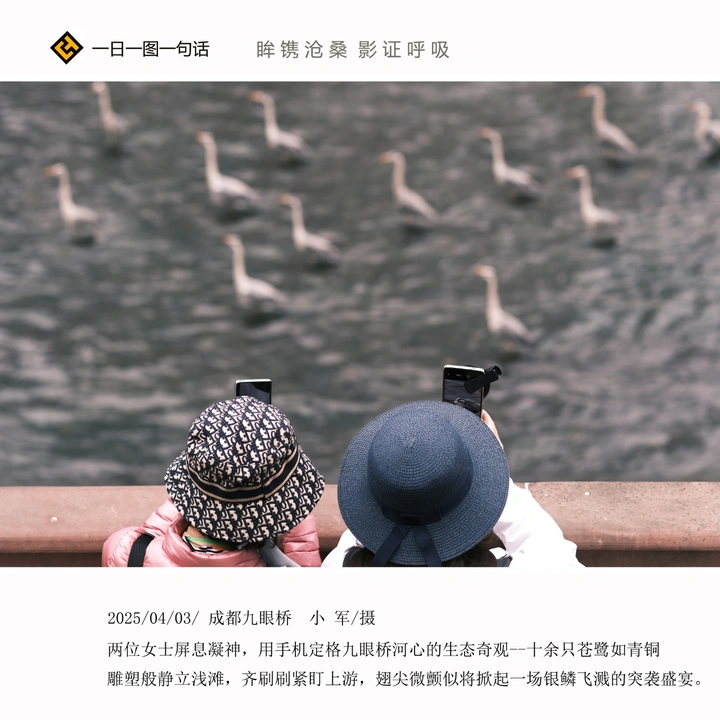 《观  鸟》／周小军／摄