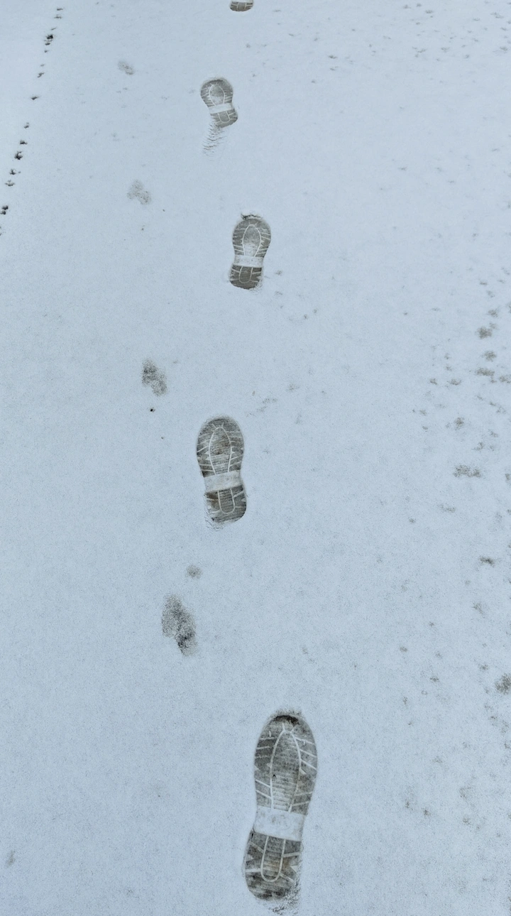 走自己的路