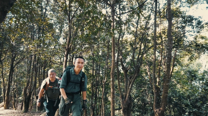 深圳户外行：健步梅林山郊野公园