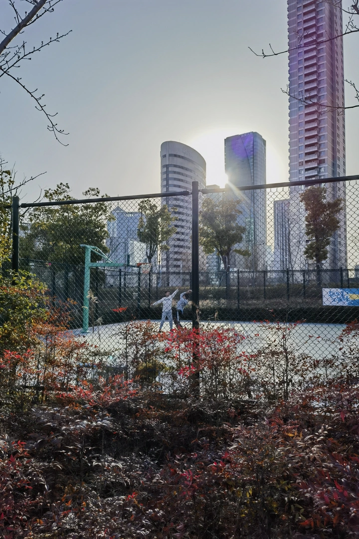 比一比