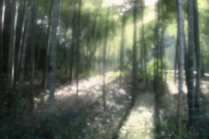 竹林空悠
