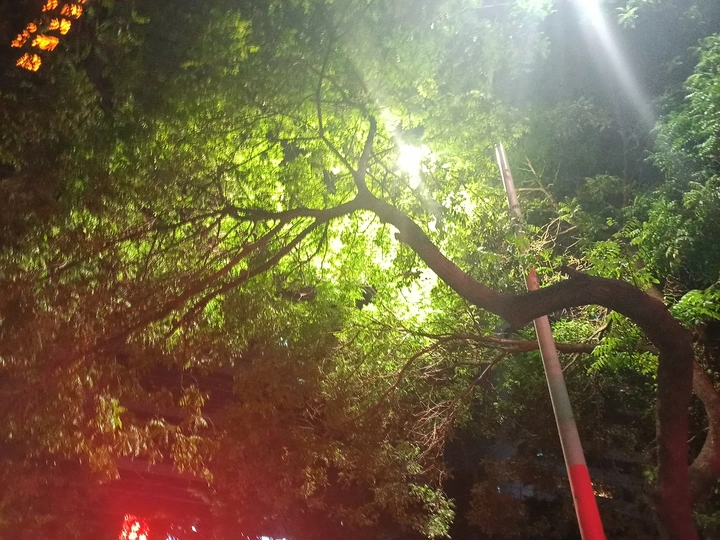 午夜的路灯
