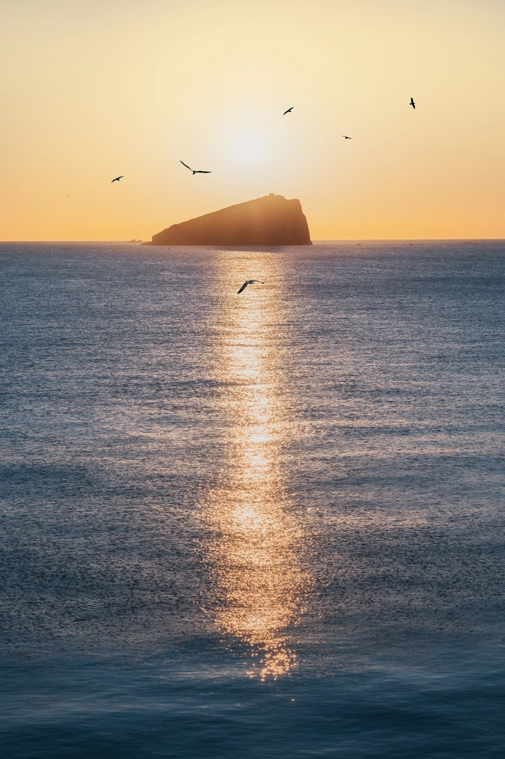 海