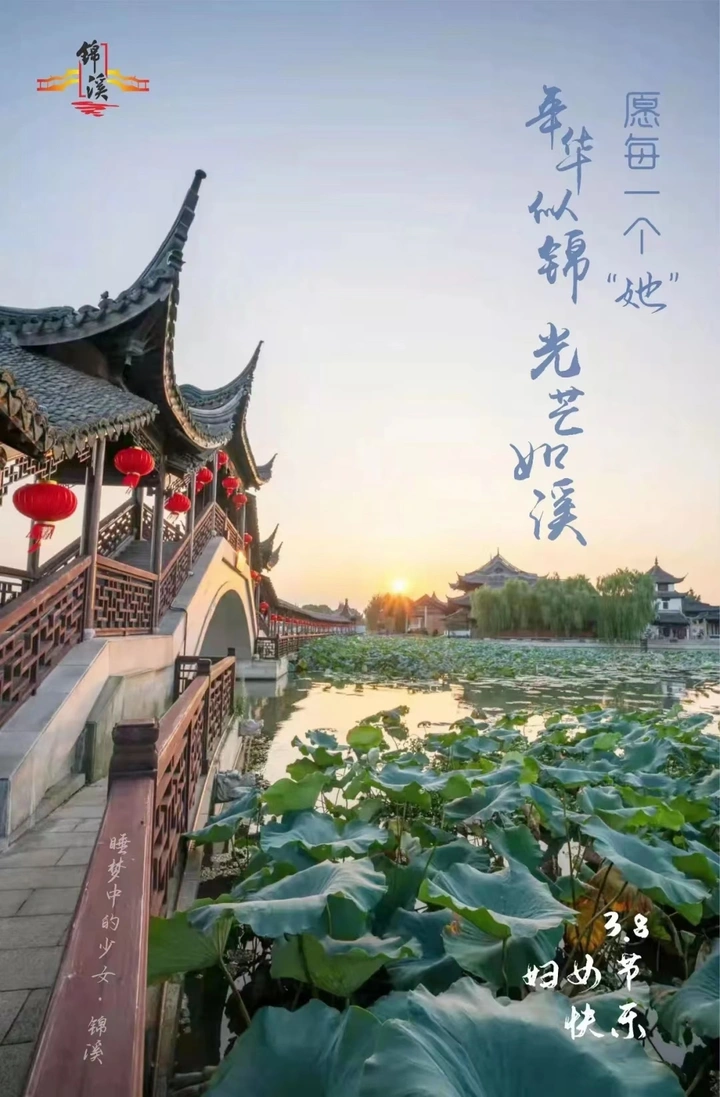 女神节快乐
