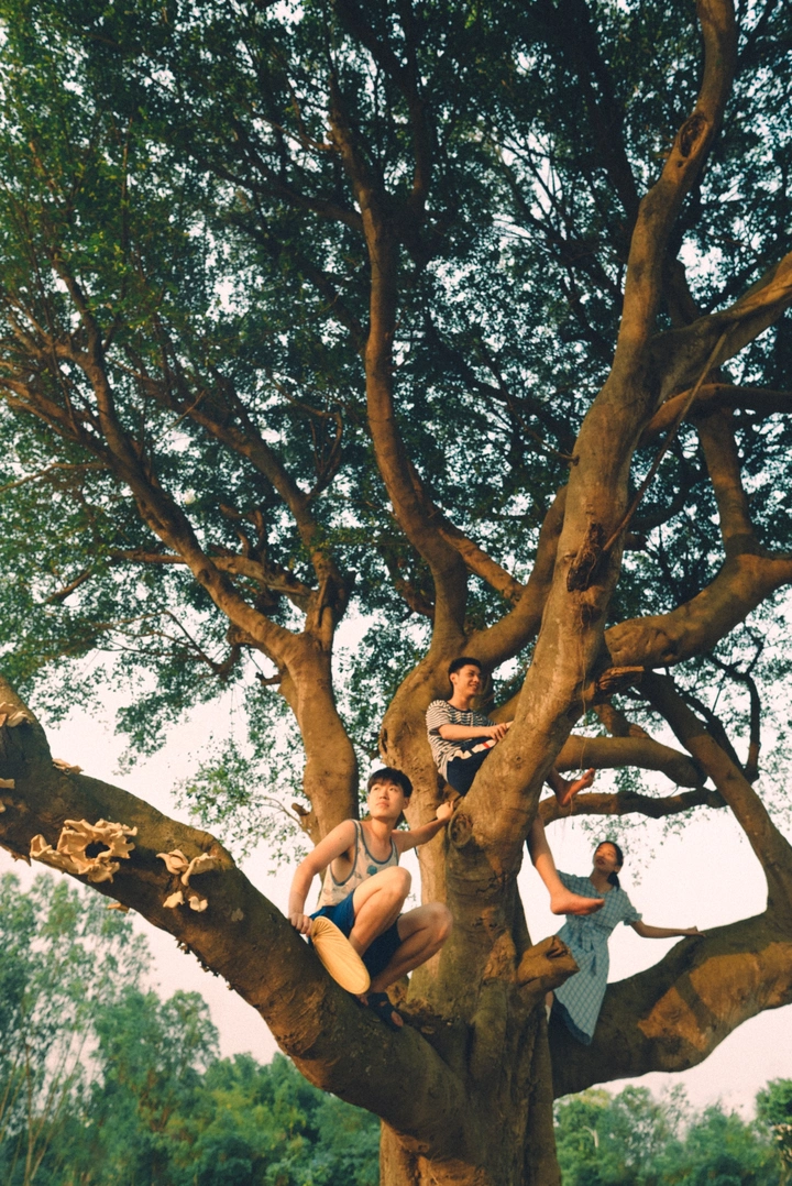 生如夏花 剧照