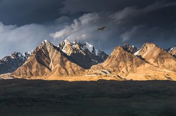 飞机在山脉上空飞翔 天空中有一只鸟。