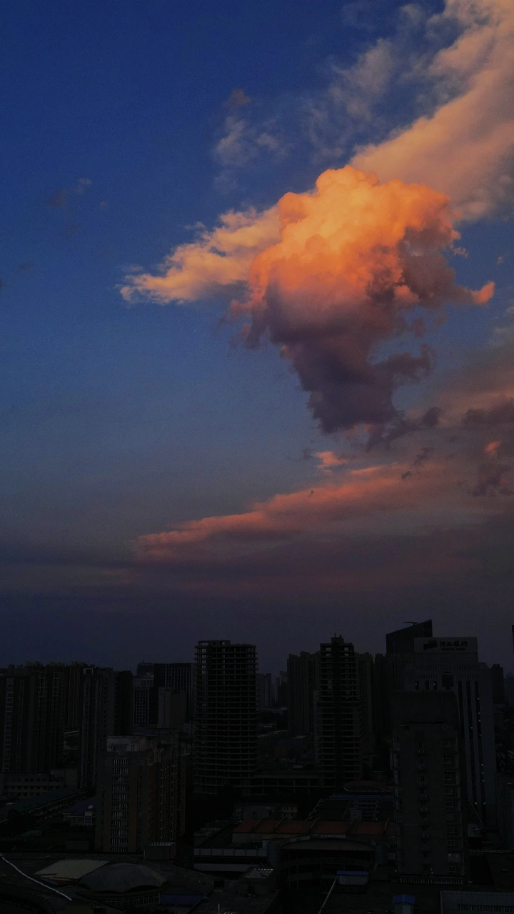 海绵宝宝