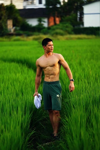 一个人穿过茂密的绿色稻田