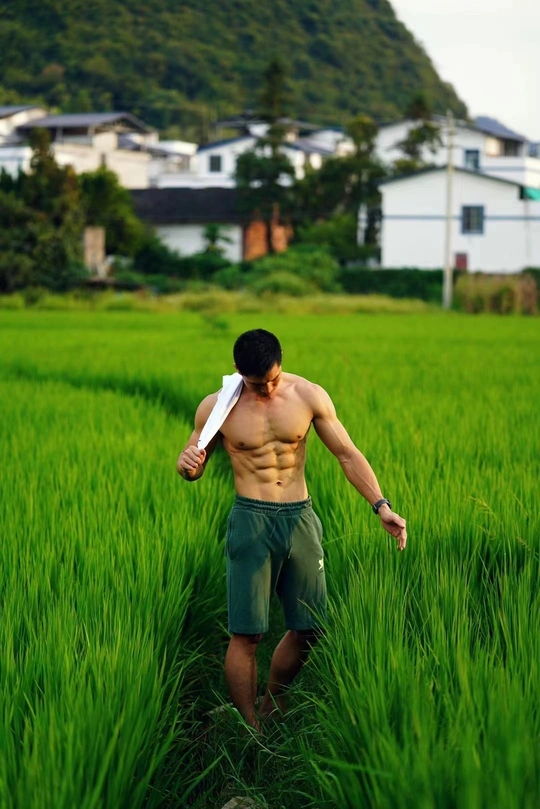 一个人正在穿过稻田