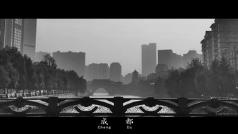 河上一座桥的黑白照片 背景是建筑物