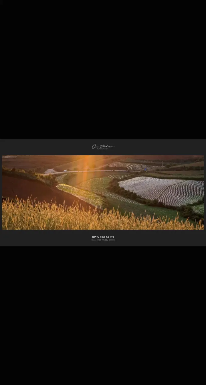 《醉夕阳》