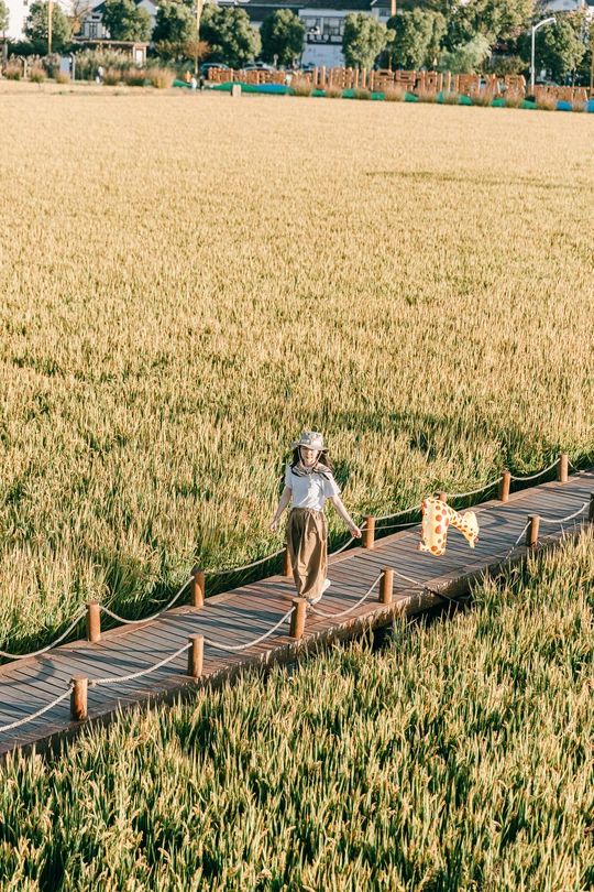一个年轻人站在一艘木桥上 桥下是一片麦田 小女孩正在桥上走。