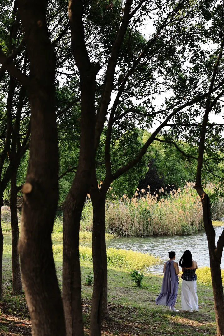 苏州湿地公园的初夏