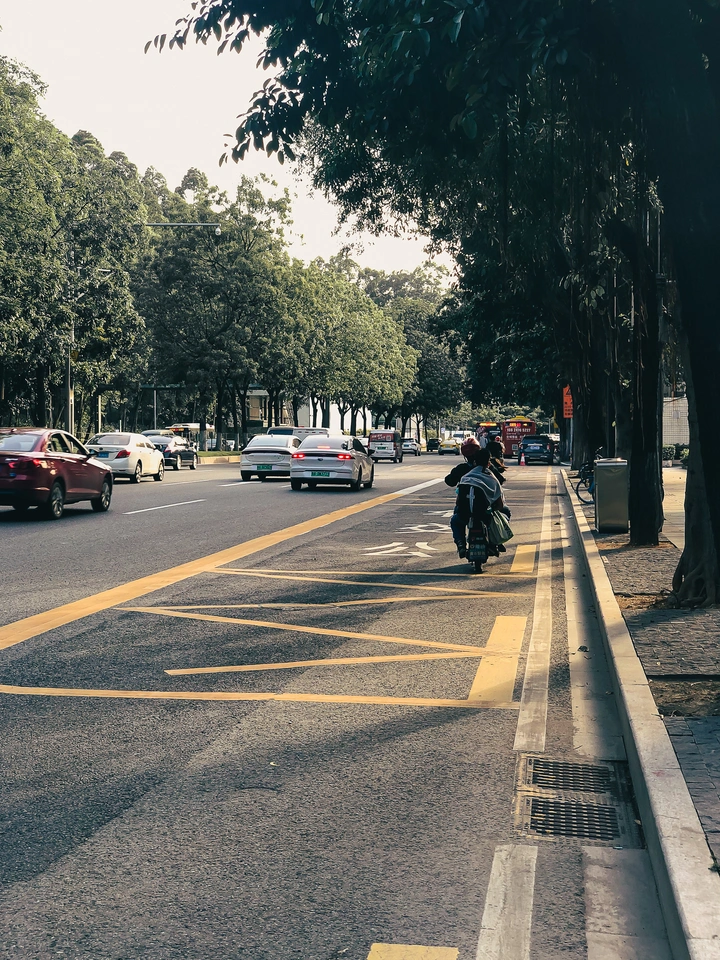 《迎着夕阳》