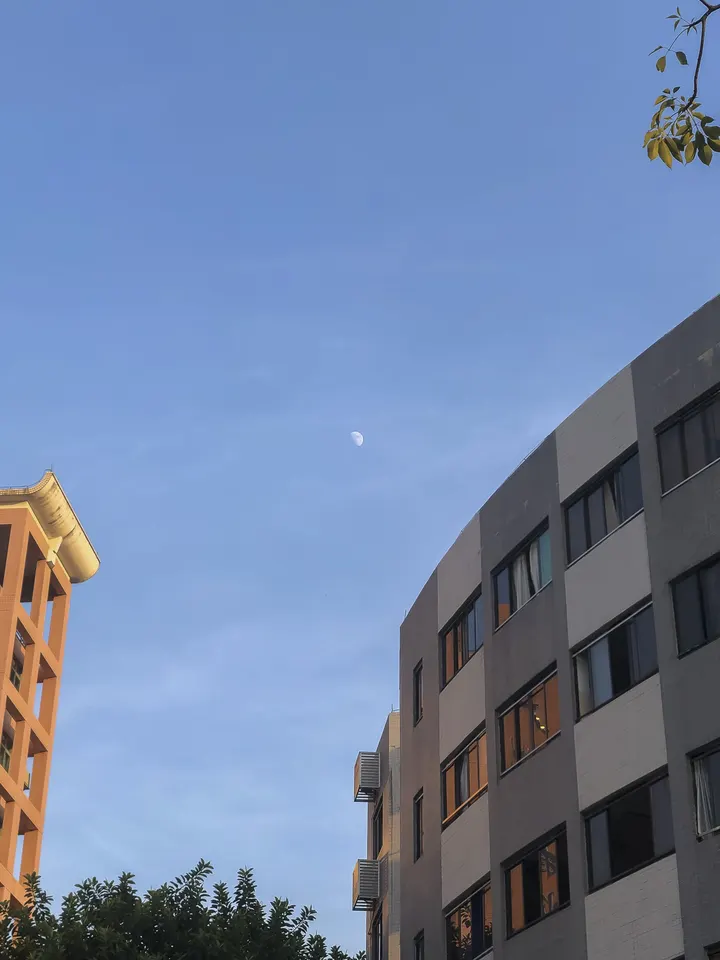 城市月亮