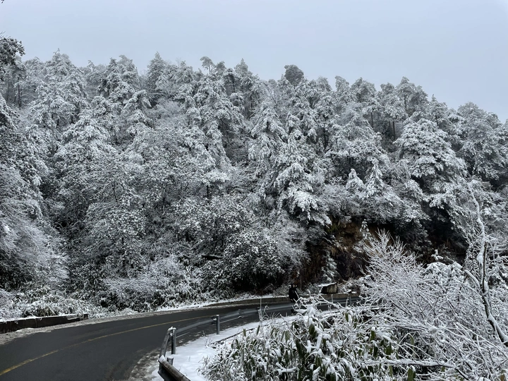 难得雪景