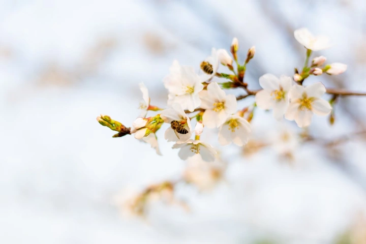 『5.1劳动节』