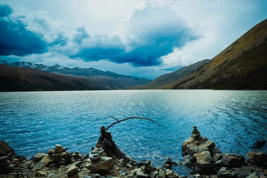 湖边的一棵树 背景是岩石和山脉