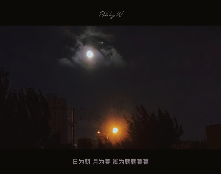 浪漫至死不渝