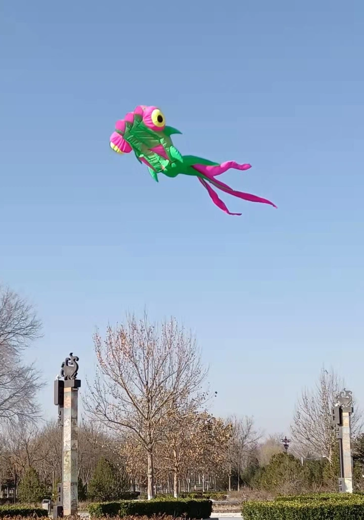 游在天空的金鱼