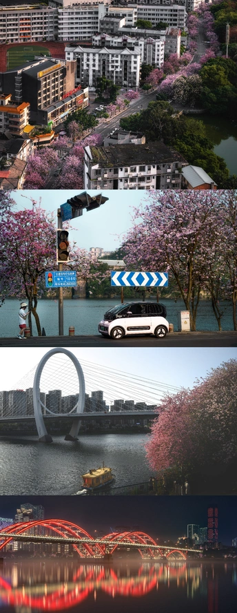 一系列显示桥梁跨过河流和建筑物的图像
