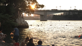 夕阳下在河中游泳的人们 背景中有桥。