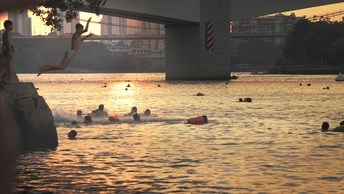 夕阳下在桥附近的水域中游泳的人们