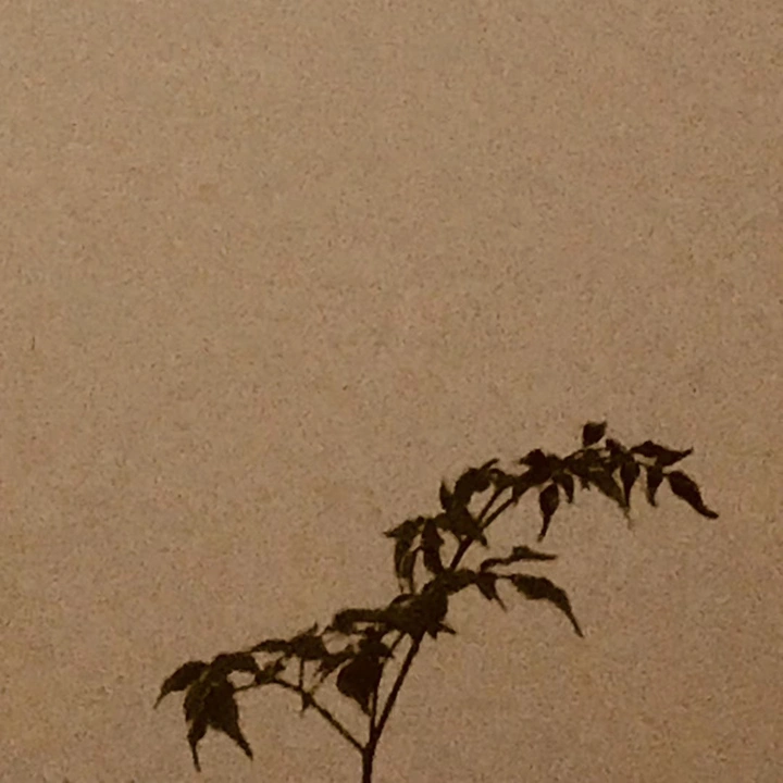 一点点