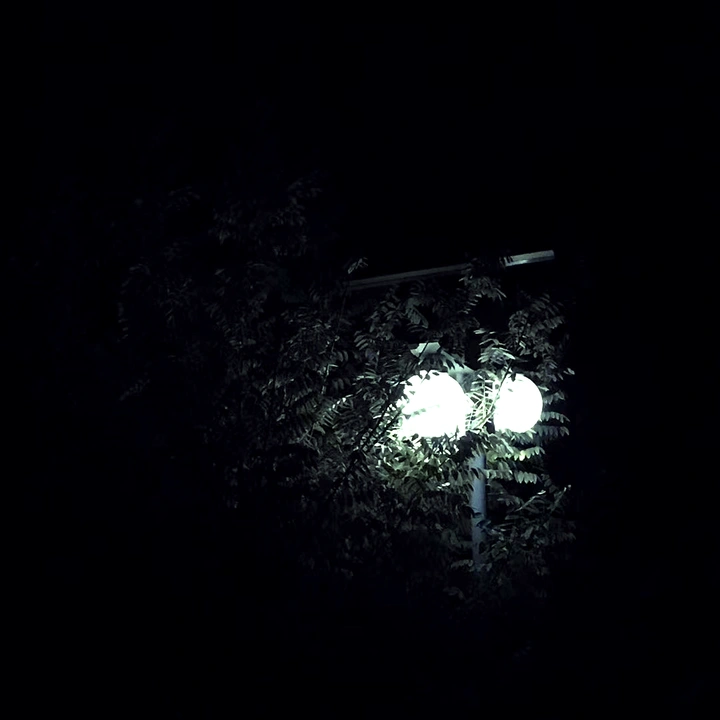 散步拍