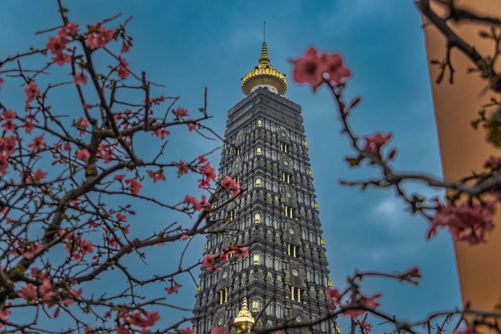 红梅托圣塔