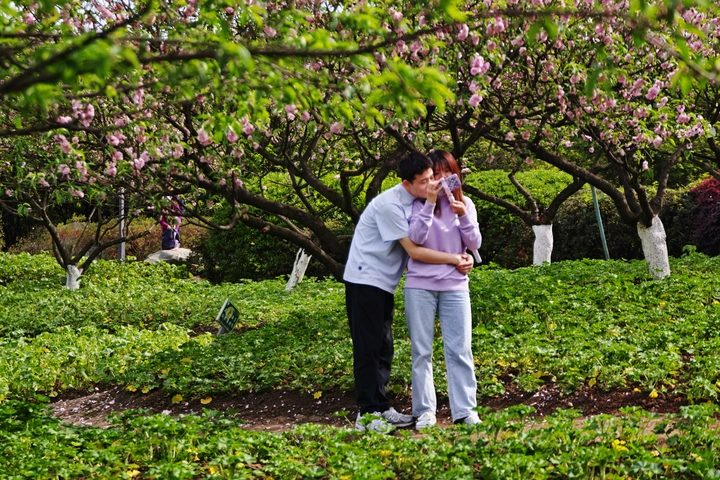 花季