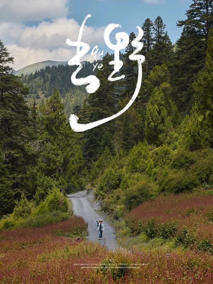 在冷嘎措B线拥抱原始森林